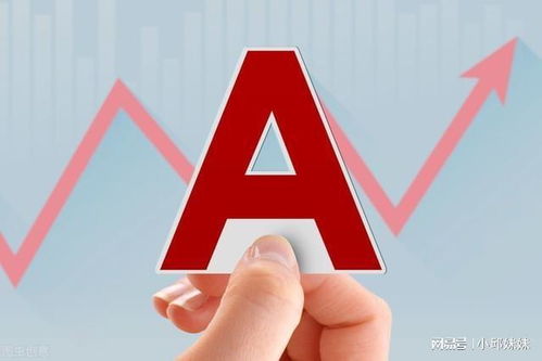 中國股市 6只最具翻倍潛力的價值低洼股（信息系統運行維護服務領域）